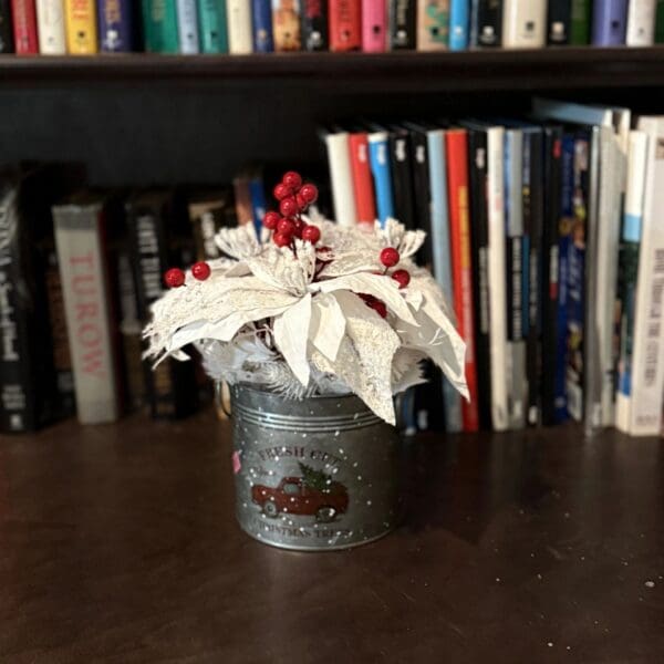 Decorative plant with red berries