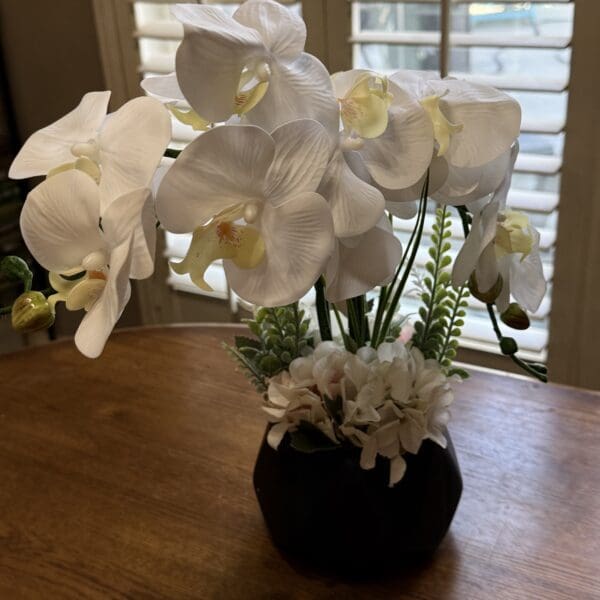 White orchids in a dark vase indoors.