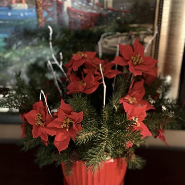 Red poinsettias in a red flower pot.