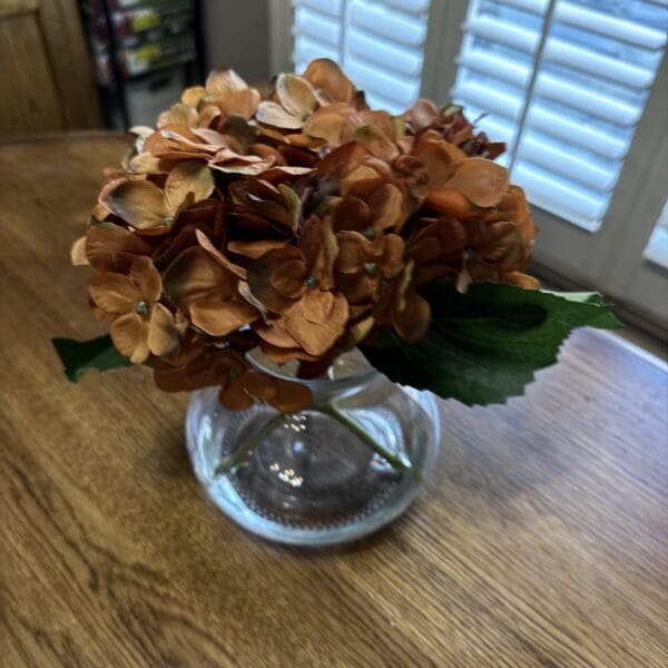 Orange flowers in a glass vase indoors.