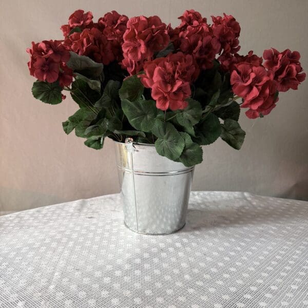 Red geraniums in metal bucket on table
