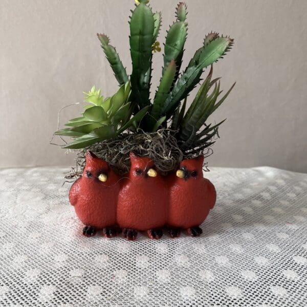 Three red cardinal succulent planter