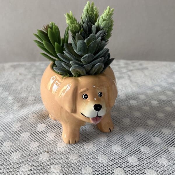 Ceramic dog planter with succulents