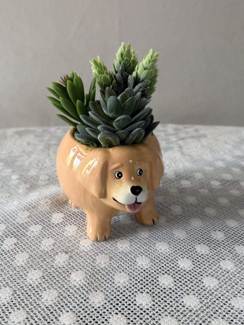 Ceramic dog planter with succulents