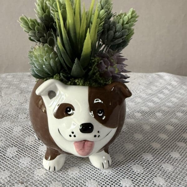 Ceramic dog planter with green succulents