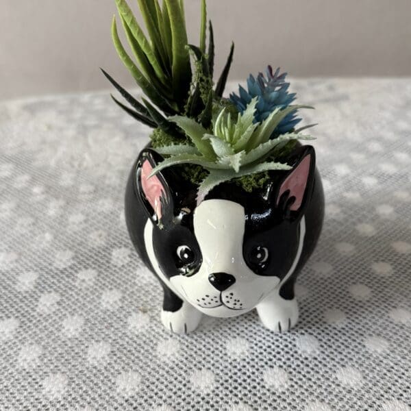 Dog-shaped ceramic planter with succulents