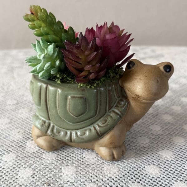 Ceramic turtle planter with succulents