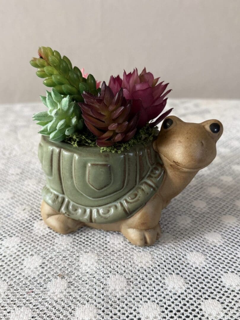 Ceramic turtle planter with succulents