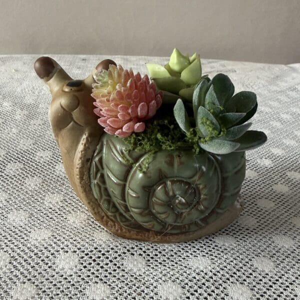 Ceramic snail planter with succulents