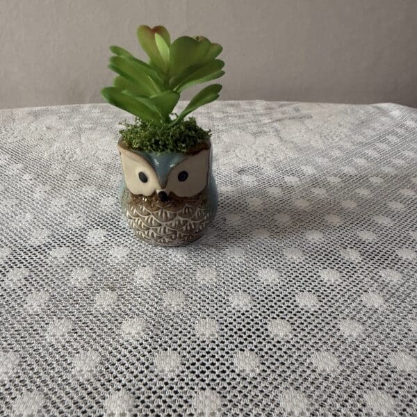 Succulent in owl-shaped ceramic planter