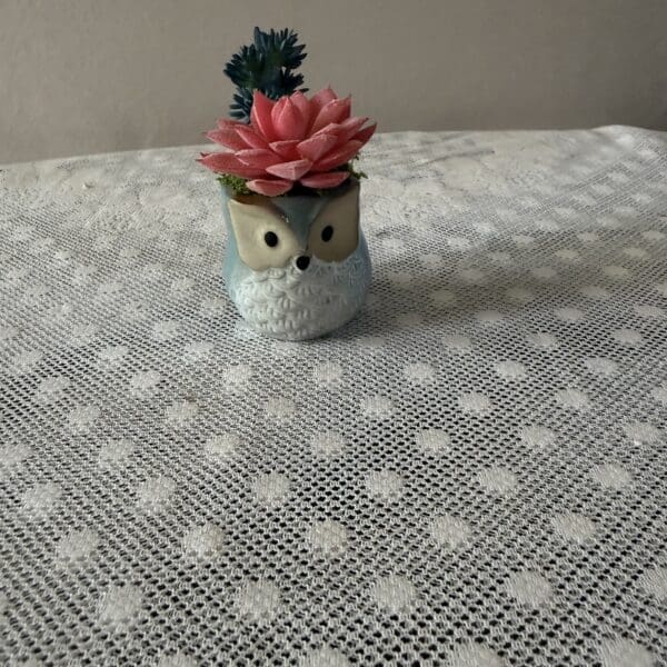 Owl-shaped planter with pink succulent on lace
