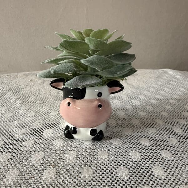 Succulent in cute cow-shaped ceramic planter