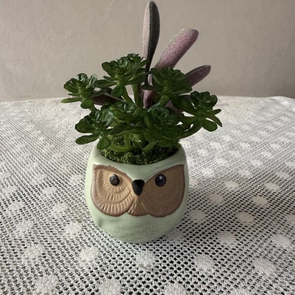 Small owl planter with green succulents