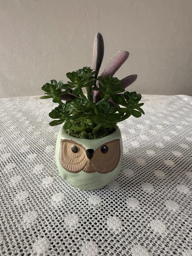 Small owl planter with green succulents