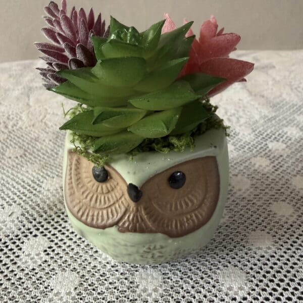 Owl planter with green and pink succulents