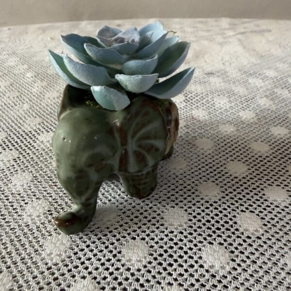 Blue succulent in elephant-shaped ceramic planter
