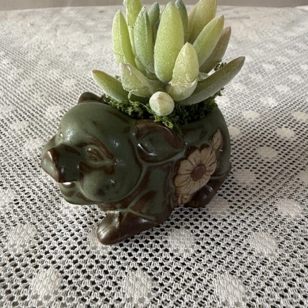 Succulent in ceramic animal planter