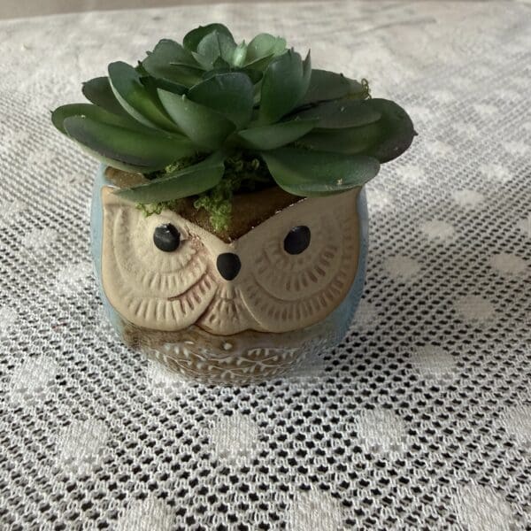 Succulent in owl planter on lace tablecloth