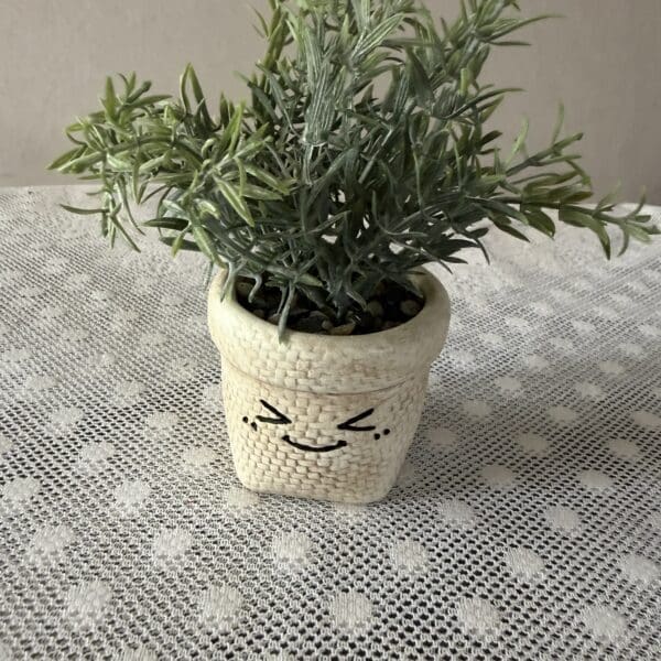 Potted green plant in smiling ceramic pot