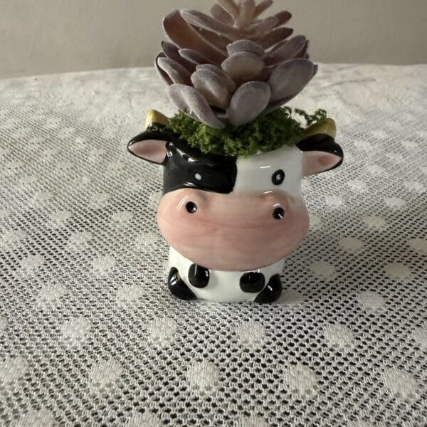 Close up cow succulent planter