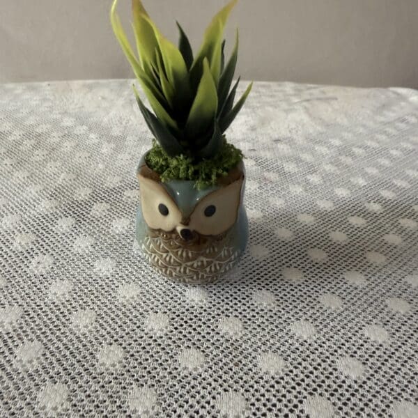 Owl ceramic planter with green succulent