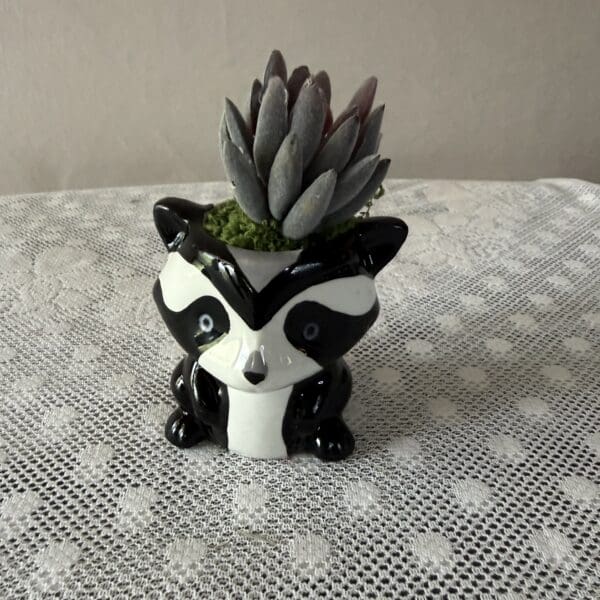 PANDA 1