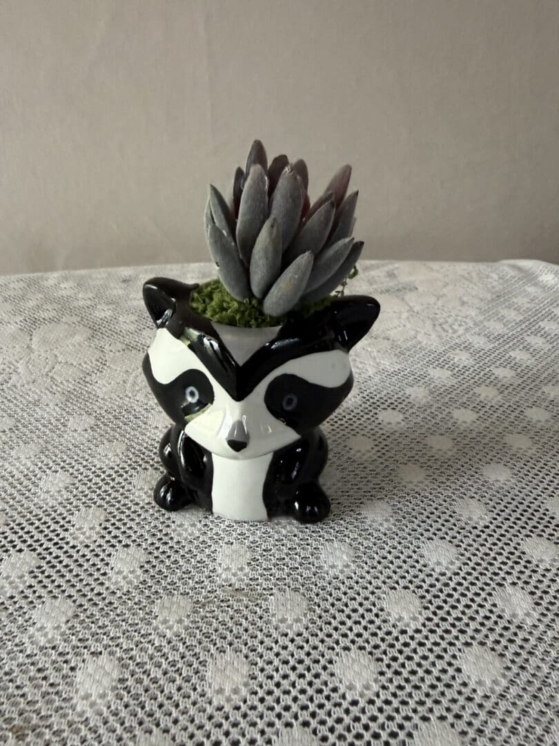 PANDA 1